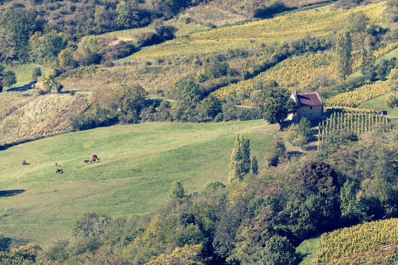 Hébergement de vacances Les Billardes - Le - Jura